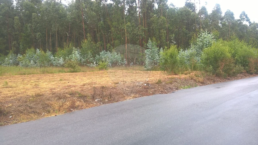 Armazém para Venda em Loureiro Foto 5