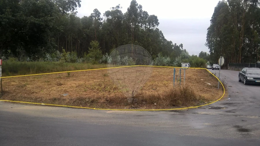 Armazém para Venda em Loureiro Foto 3