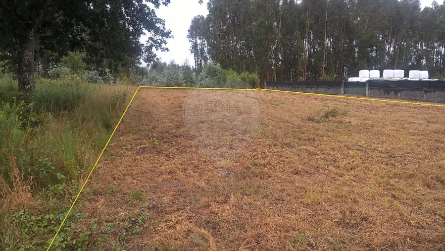 Armazém para Venda em Loureiro Foto 2
