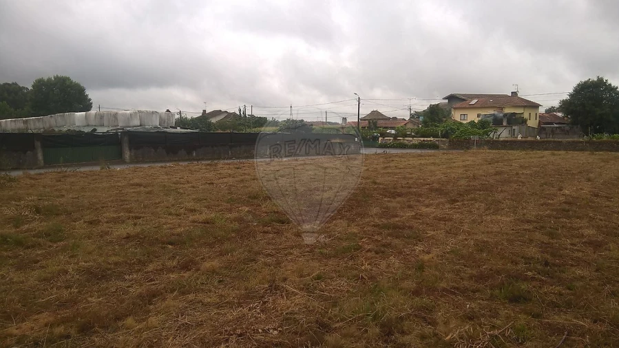 Armazém para Venda em Loureiro Foto 8
