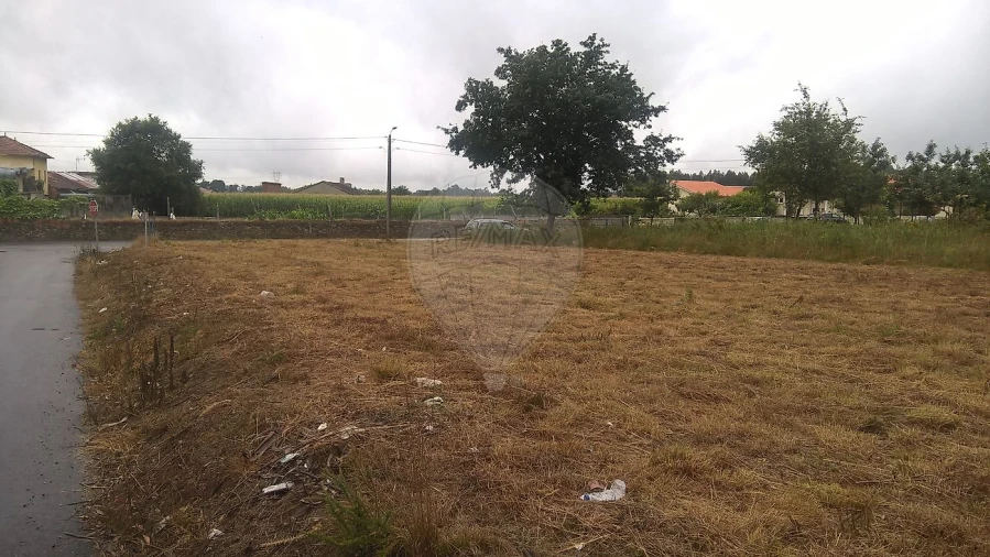 Armazém para Venda em Loureiro Foto 11