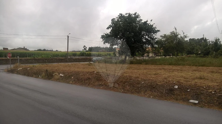 Armazém para Venda em Loureiro Foto 6