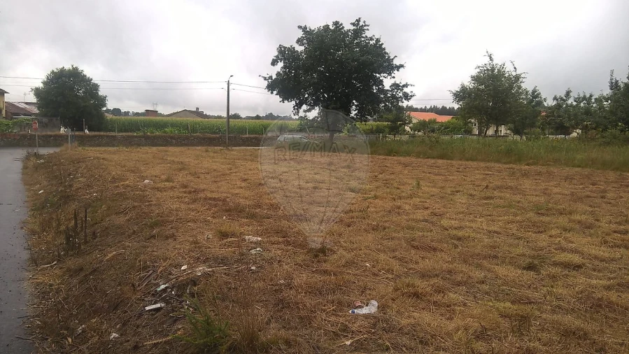 Armazém para Venda em Loureiro Foto 12