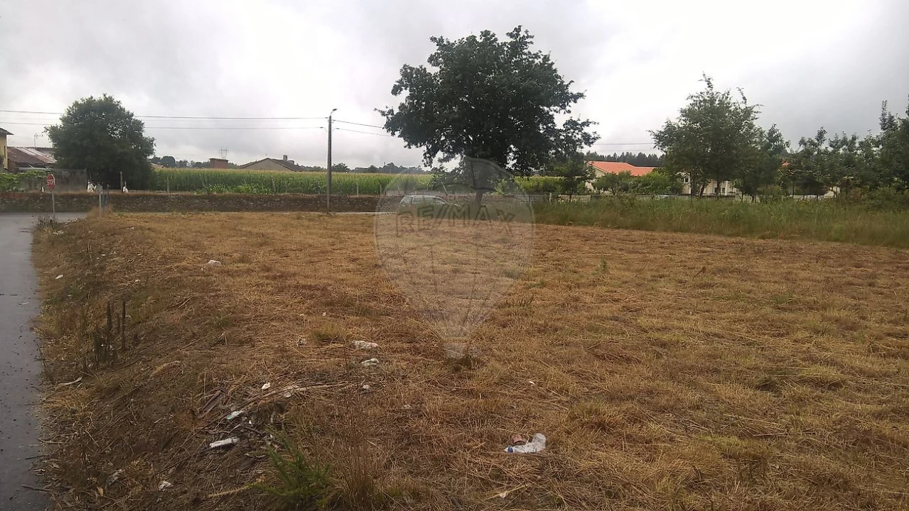 Armazém para Venda em Loureiro Foto 12