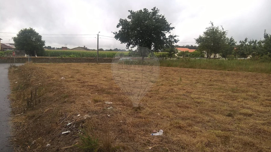 Armazém para Venda em Loureiro
