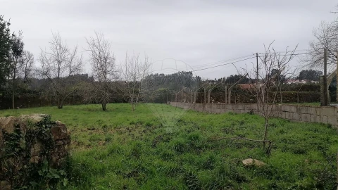Terreno para Venda em O. Azeméis, Riba-Ul, Ul, Macinhata Seixa, Madail