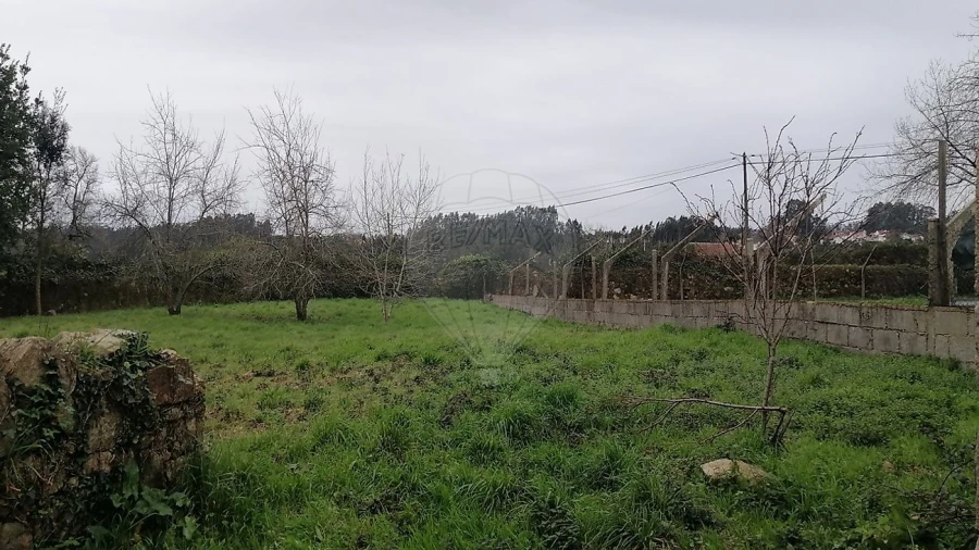 Terreno para Venda em O. Azeméis, Riba-Ul, Ul, Macinhata Seixa, Madail Foto 5