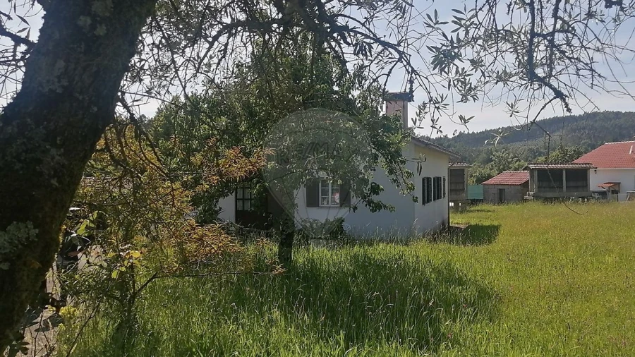 Moradia T3 para Venda em Préstimo e Macieira de Alcoba Foto 9