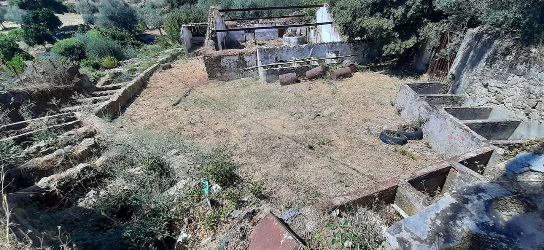 Moradia T2 para Venda em Belver Foto 2