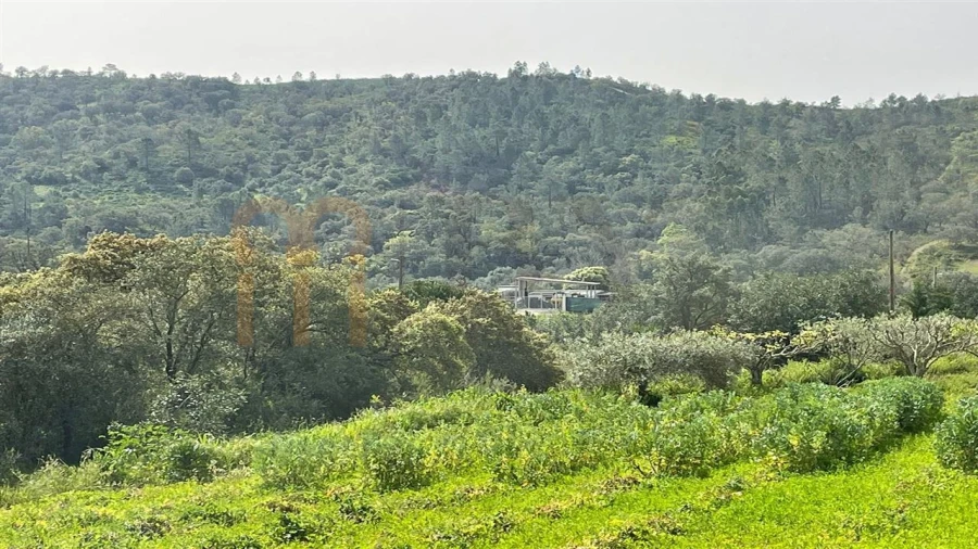 Terreno Agricola ou Rústico para Venda em Querença, Tôr e Benafim Foto 2