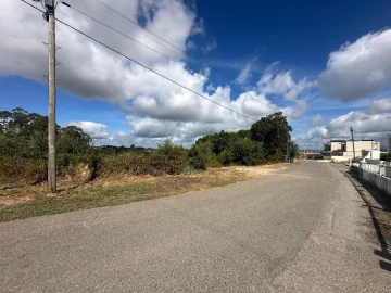 Terreno para Venda em Eiras e São Paulo de Frades