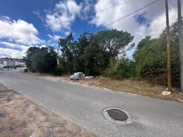 Terreno para Venda em Eiras e São Paulo de Frades