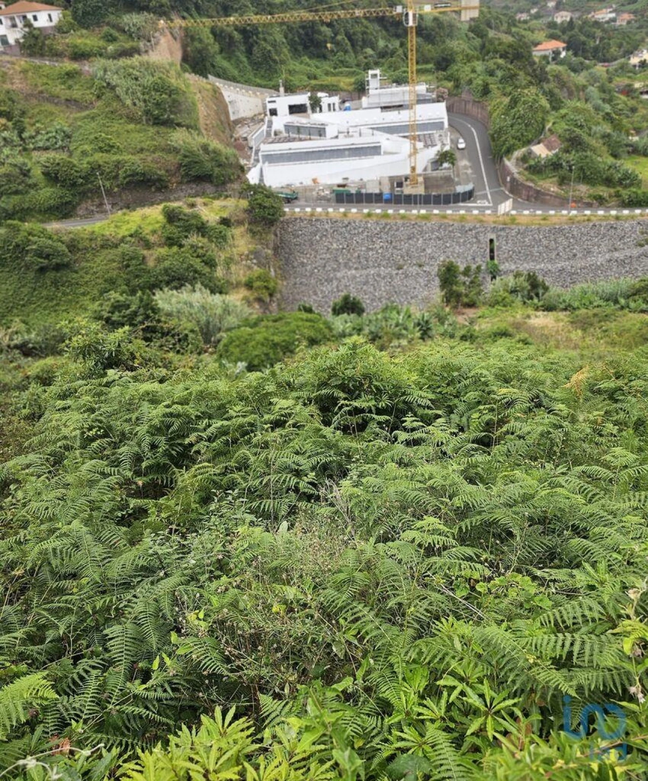 Terreno para Venda em Porto da Cruz Foto 5
