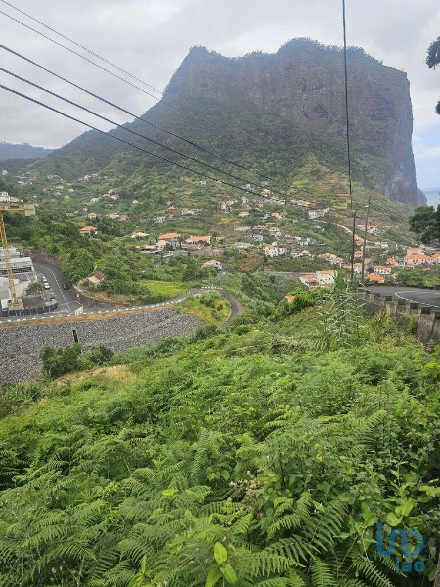 Terreno para Venda em Porto da Cruz Foto 4