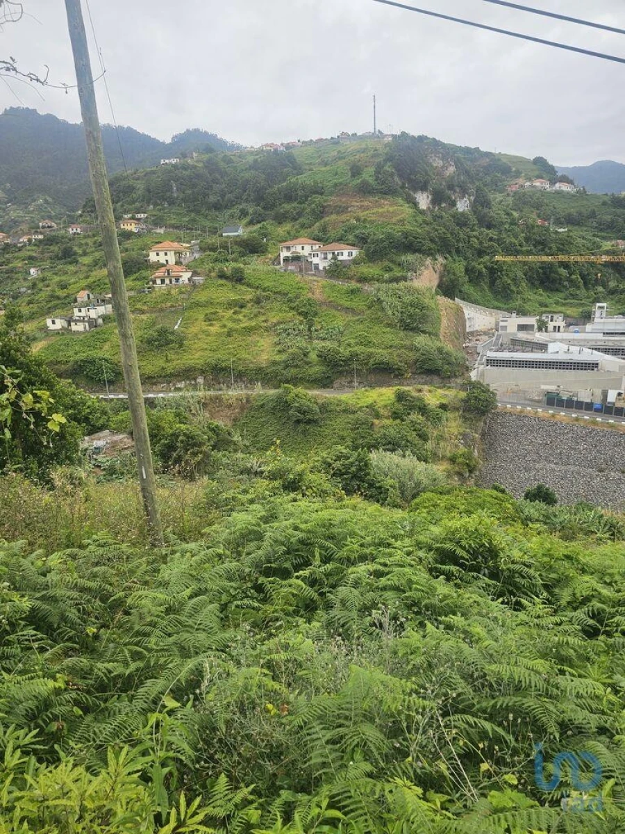 Terreno para Venda em Porto da Cruz Foto 6