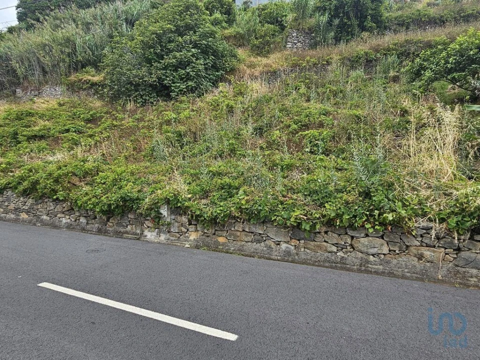 Terreno para Venda em Porto da Cruz Foto 11