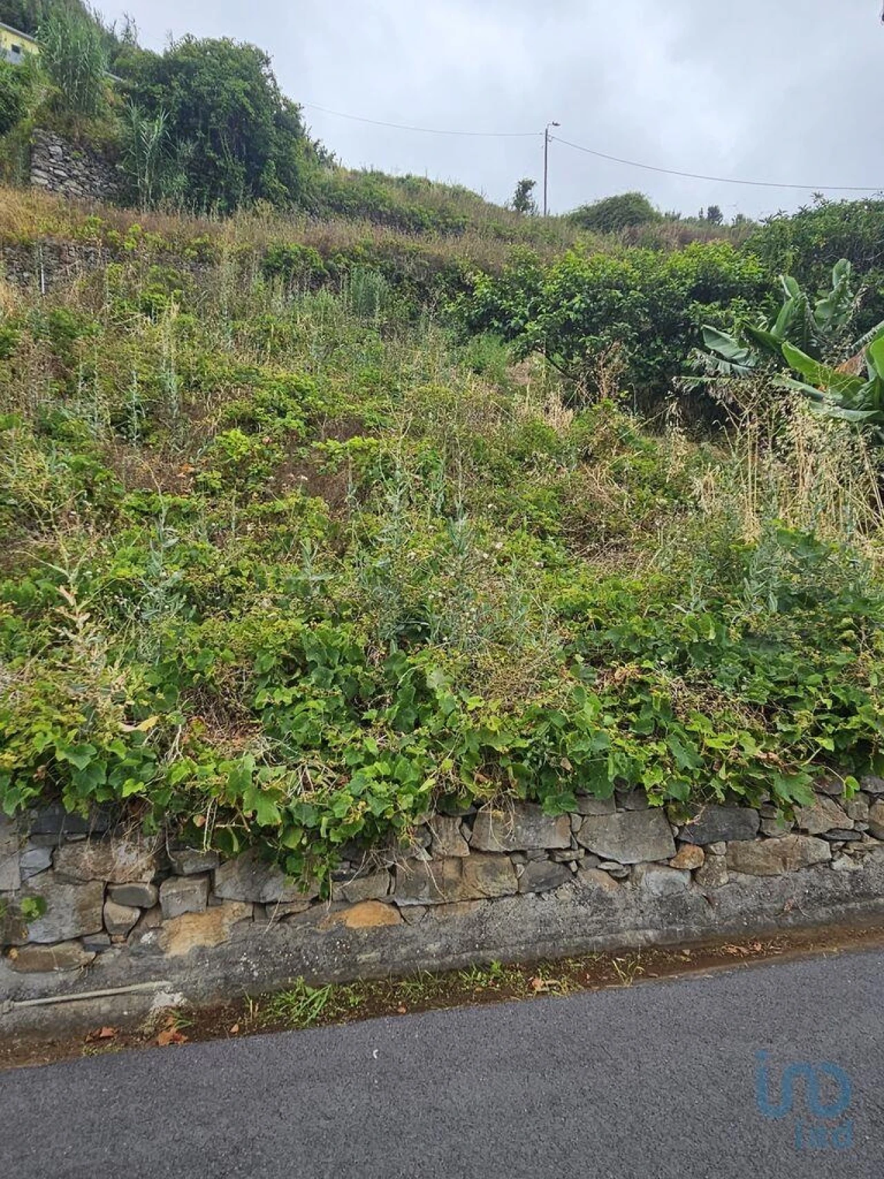Terreno para Venda em Porto da Cruz Foto 6