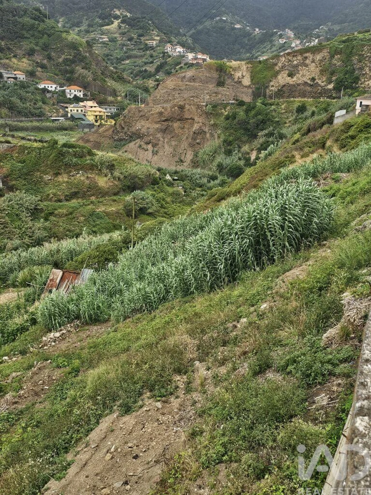 Terreno para Venda em Porto da Cruz Foto 17