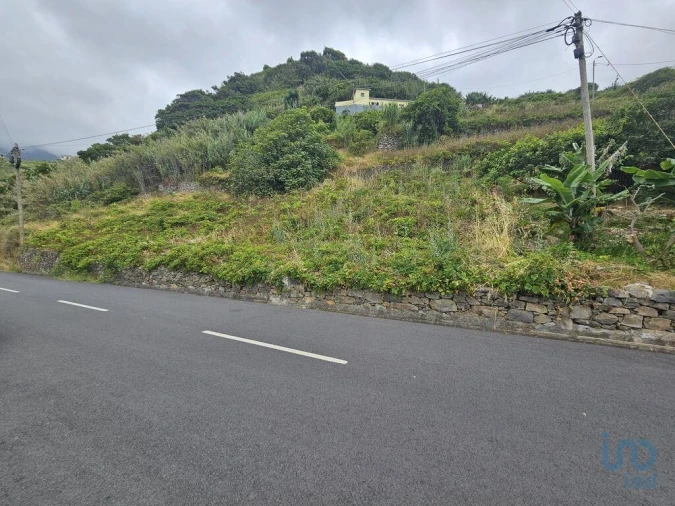 Terreno para Venda em Porto da Cruz Foto 13