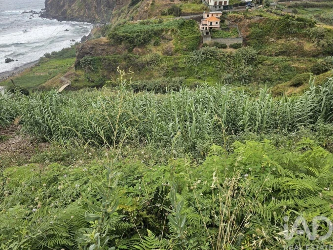 Terreno para Venda em Porto da Cruz Foto 16