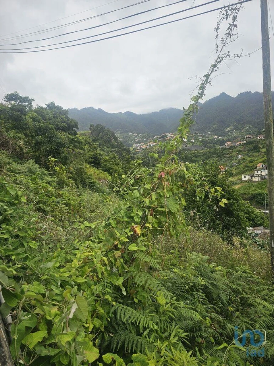 Terreno para Venda em Porto da Cruz Foto 8