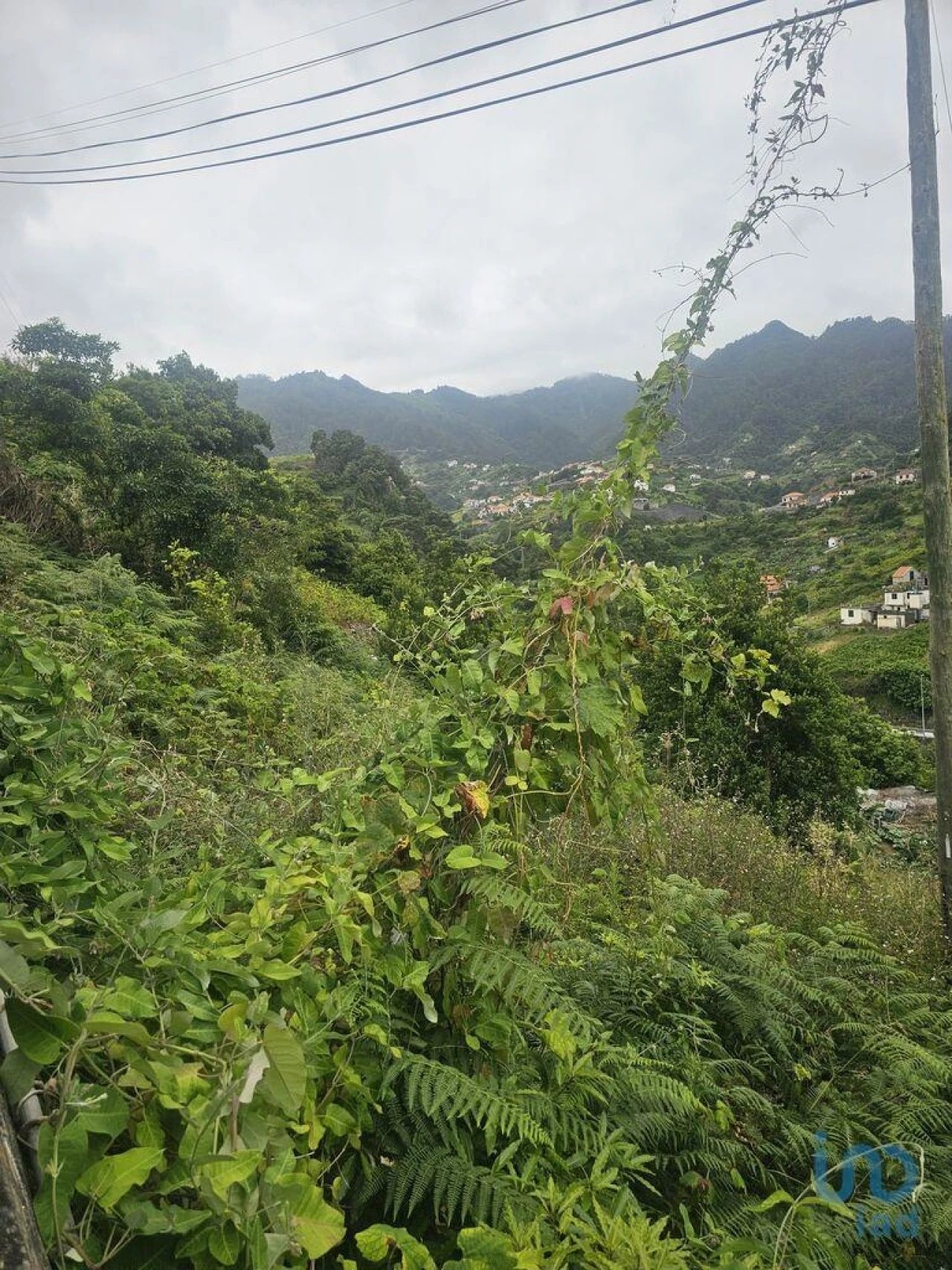Terreno para Venda em Porto da Cruz Foto 8