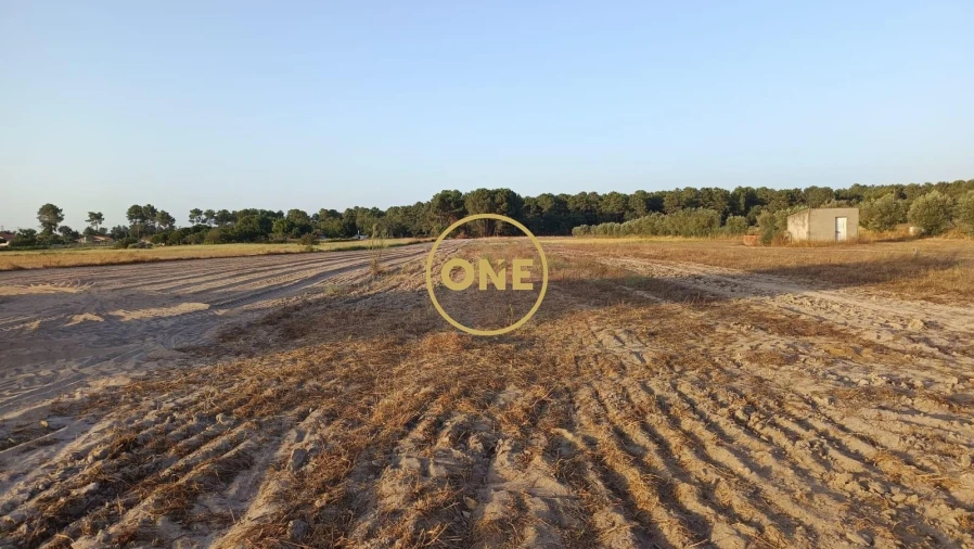 Terreno para Venda em Salvaterra de Magos e Foros de Salvaterra Foto 3