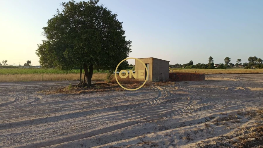 Terreno para Venda em Salvaterra de Magos e Foros de Salvaterra Foto 2