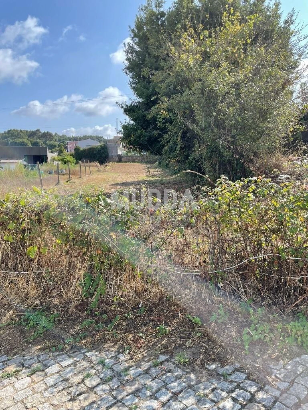 Terreno para Venda em Lourosa Foto 4