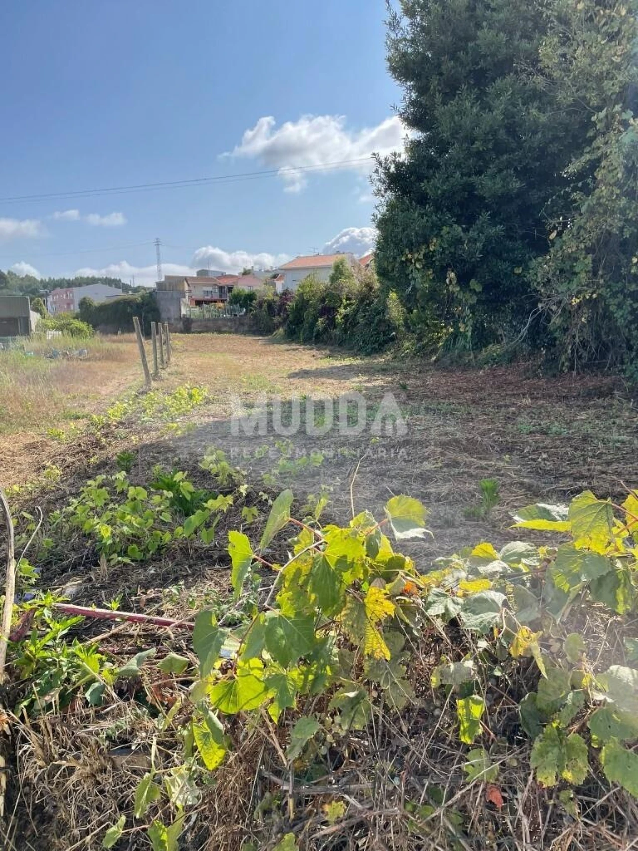 Terreno para Venda em Lourosa Foto 5