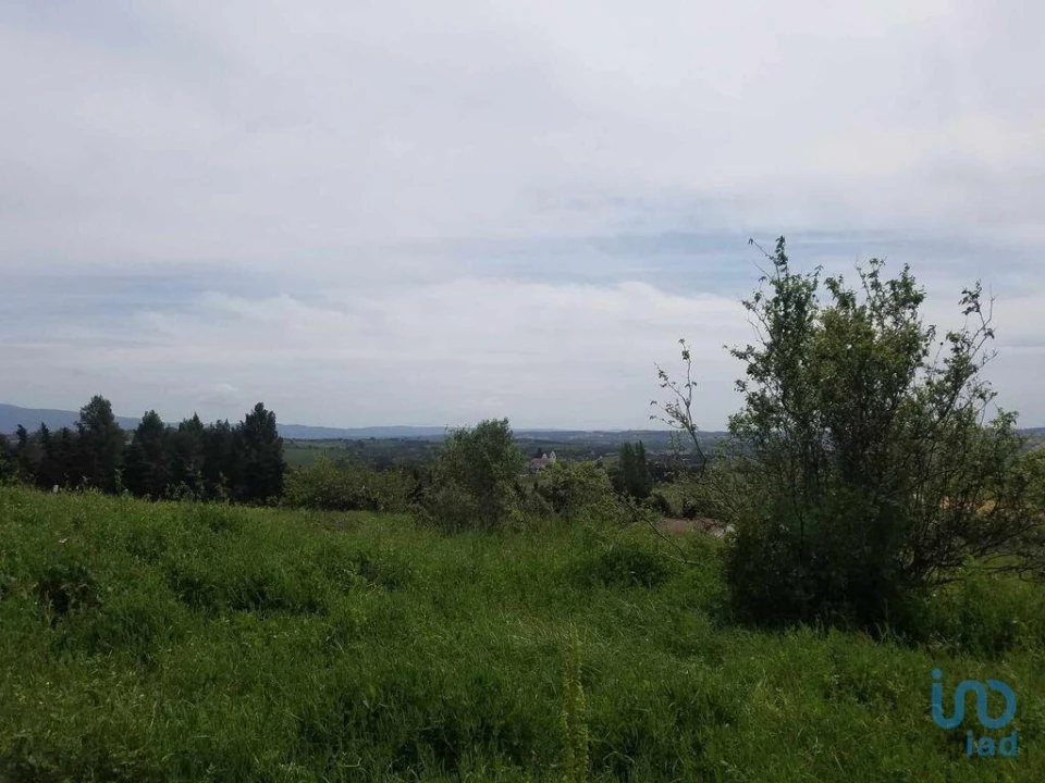 Terreno para Venda em Carvalhal Foto 9