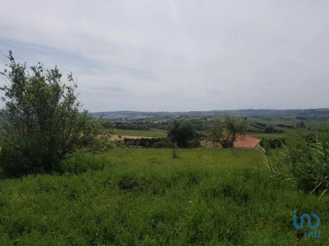 Terreno para Venda em Carvalhal Foto 5