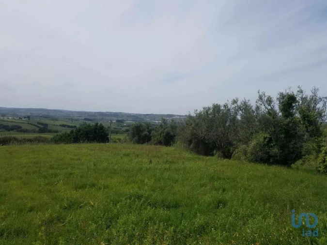 Terreno para Venda em Carvalhal Foto 4