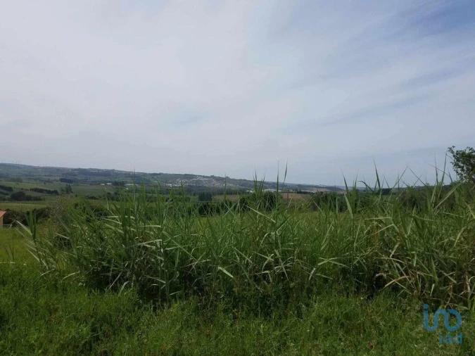 Terreno para Venda em Carvalhal Foto 7