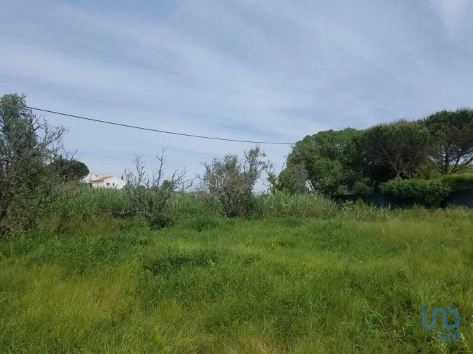 Terreno para Venda em Carvalhal Foto 3