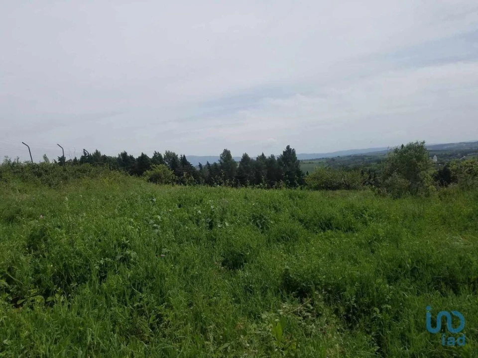 Terreno para Venda em Carvalhal Foto 6