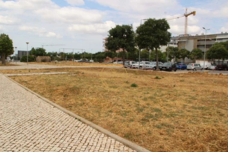 Terreno para Venda em Loule (São Clemente) Foto 8
