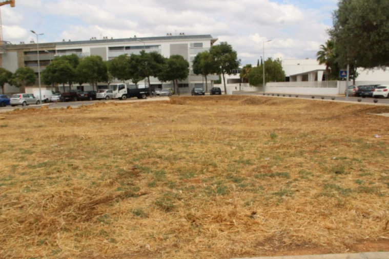 Terreno para Venda em Loule (São Clemente) Foto 7