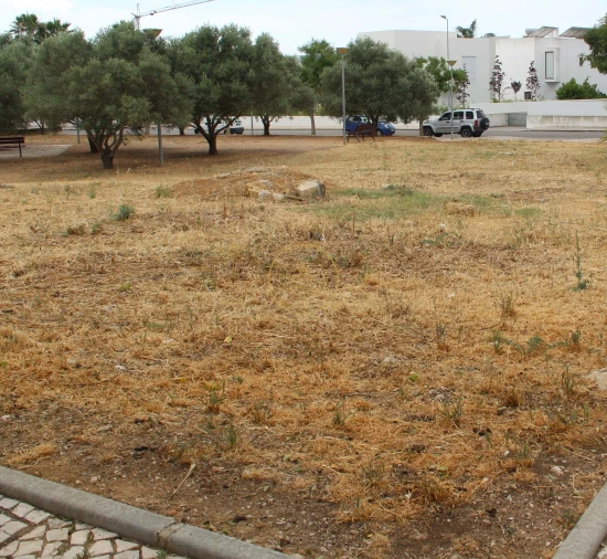 Terreno para Venda em Loule (São Clemente) Foto 3