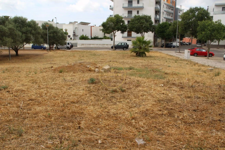 Terreno para Venda em Loule (São Clemente) Foto 5