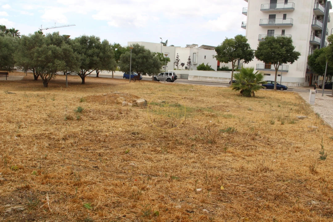 Terreno para Venda em Loule (São Clemente) Foto 4