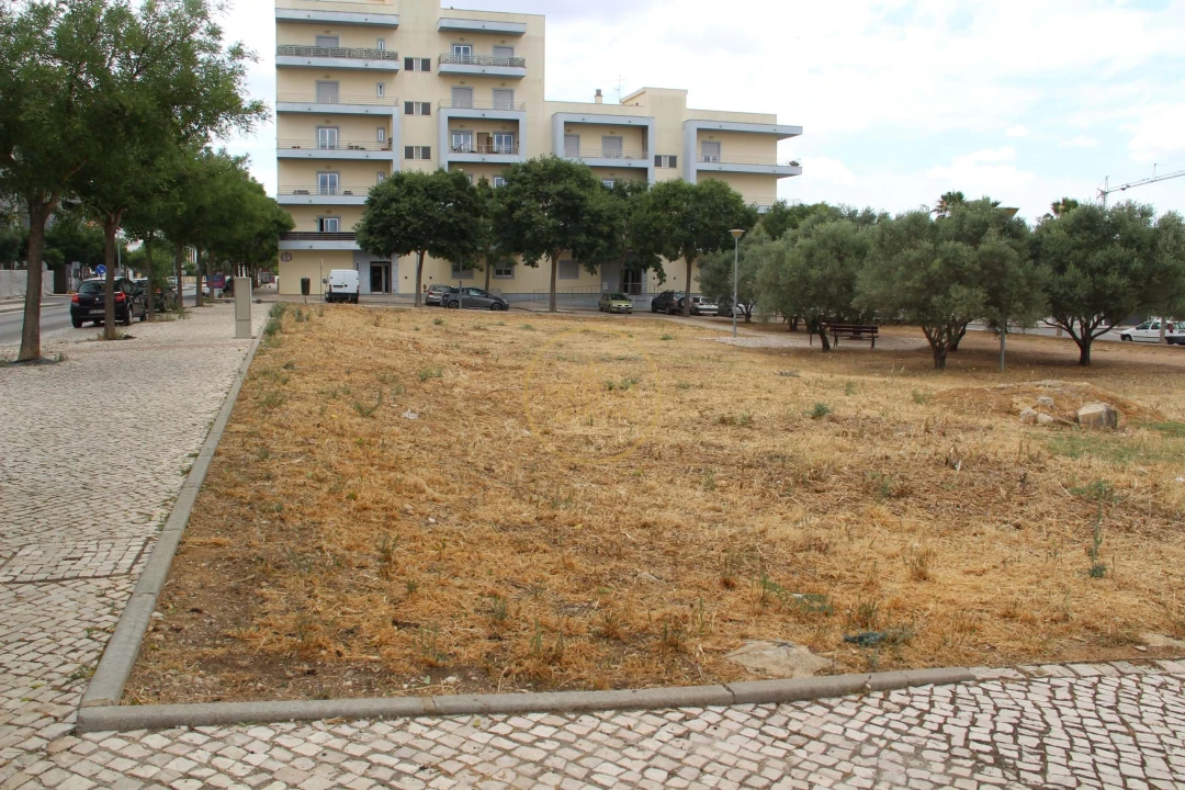 Terreno para Venda em Loule (São Clemente) Foto 2