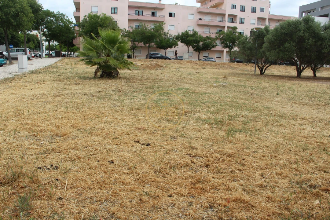 Terreno para Venda em Loule (São Clemente) Foto 10