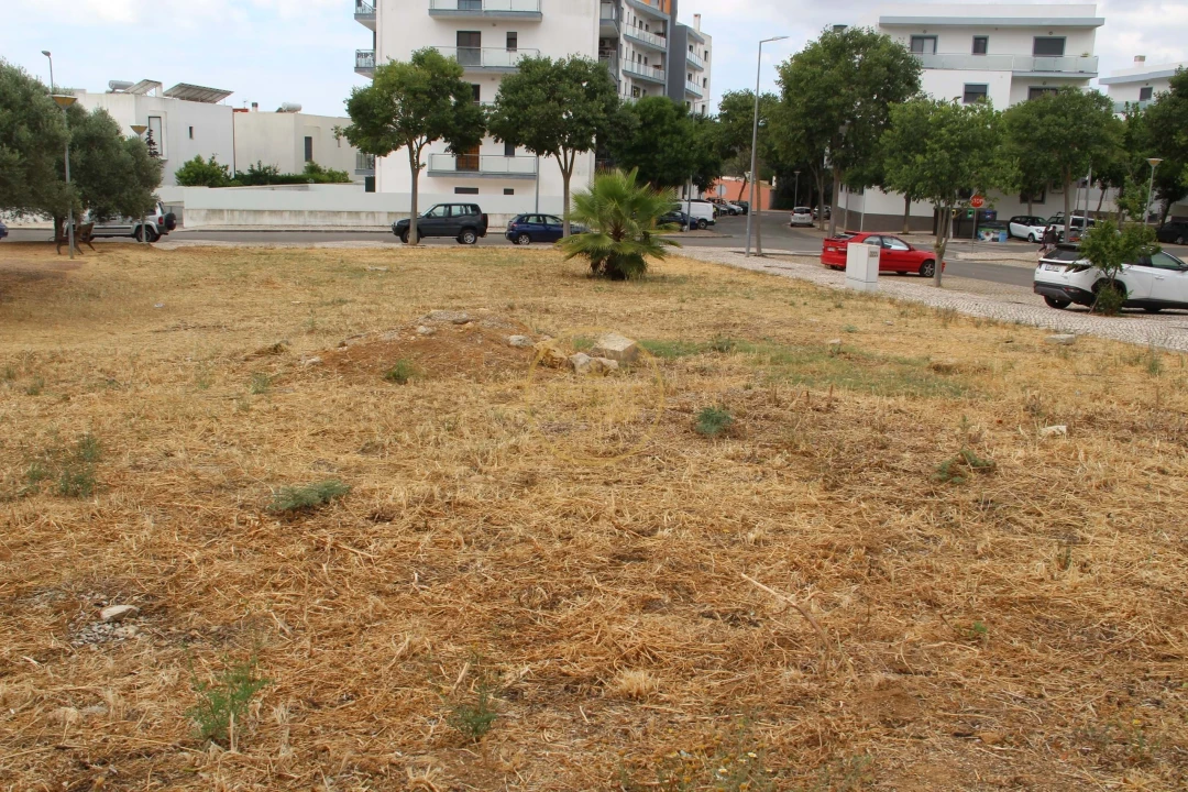 Terreno para Venda em Loule (São Clemente) Foto 6