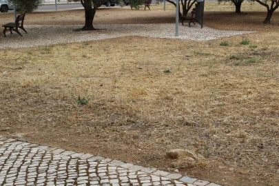 Terreno para Venda em Loule (São Clemente)