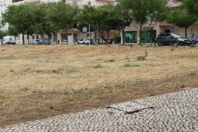 Terreno para Venda em Loule (São Clemente)