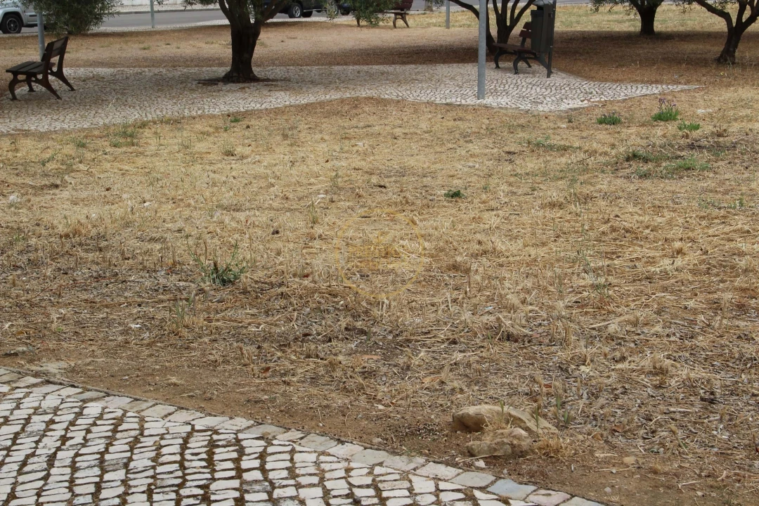 Terreno para Venda em Loule (São Clemente) Foto 3