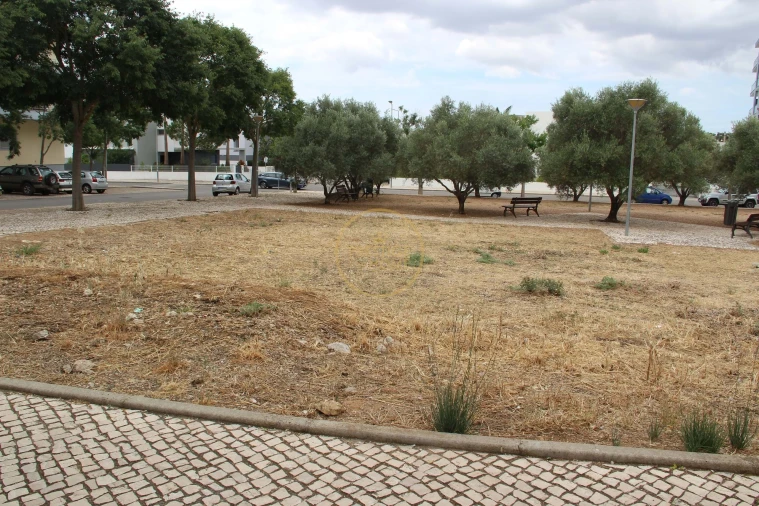 Terreno para Venda em Loule (São Clemente) Foto 5