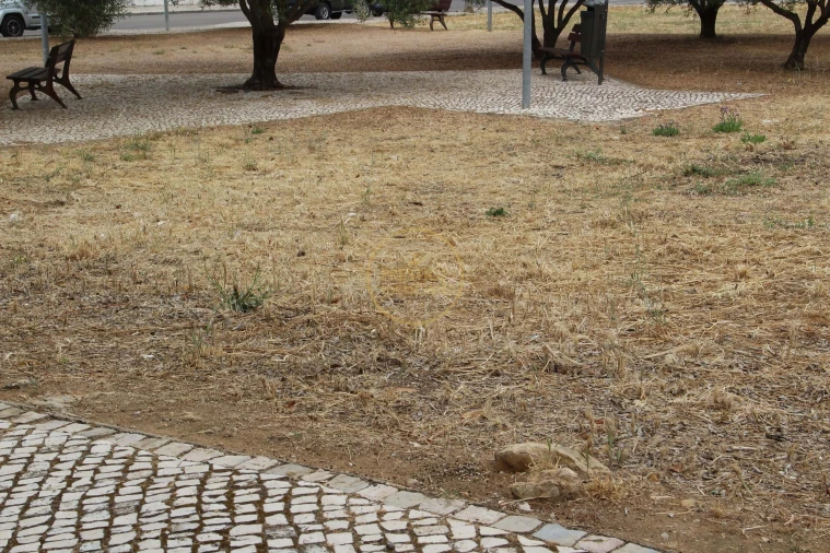 Terreno para Venda em Loule (São Clemente) Foto 3