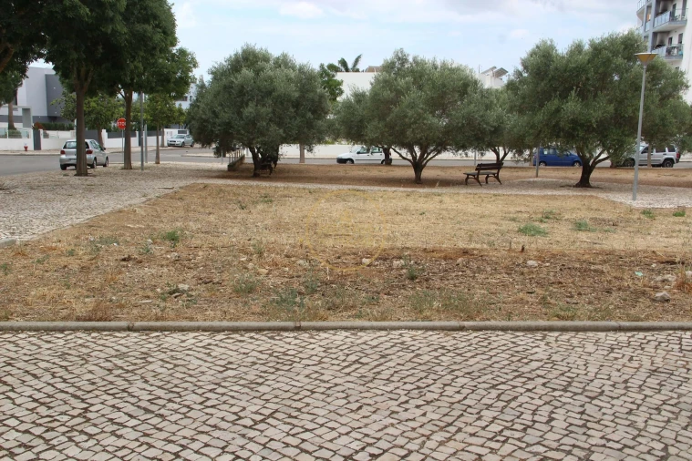 Terreno para Venda em Loule (São Clemente) Foto 4